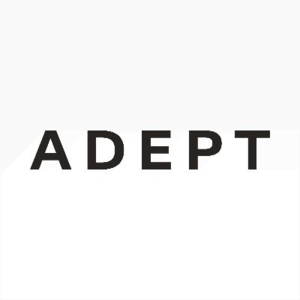 AI公司商业拆解-Adept