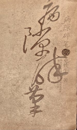 重读经典之《病隙碎笔》-史铁生