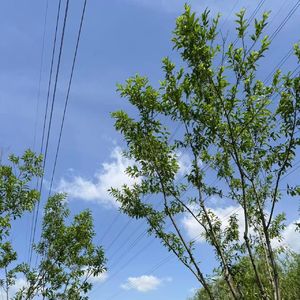 69五一假期,漫步湖畔闲话生活与追《西游记》《红楼梦》剧感悟