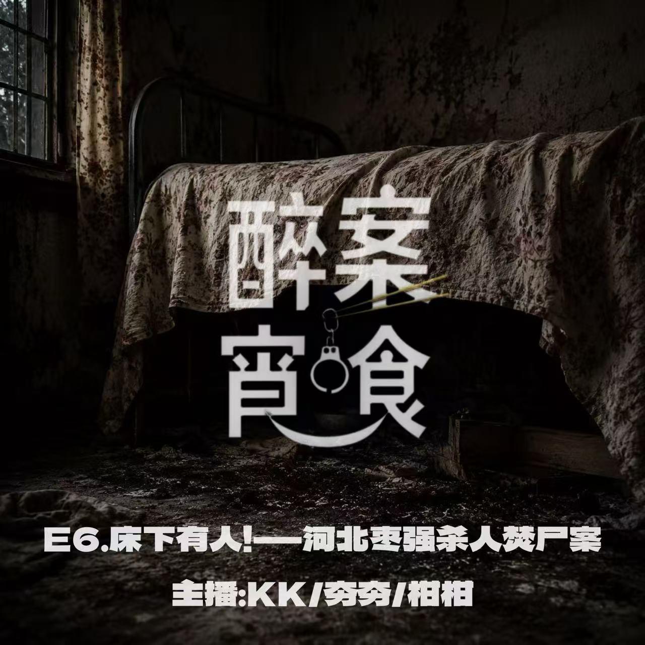 E6.床下有人！-河北枣强杀人焚尸案 episode artwork