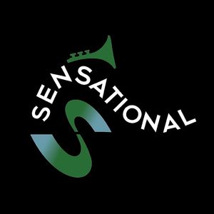 向量客厅Sensational