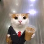 小马同学_WREd