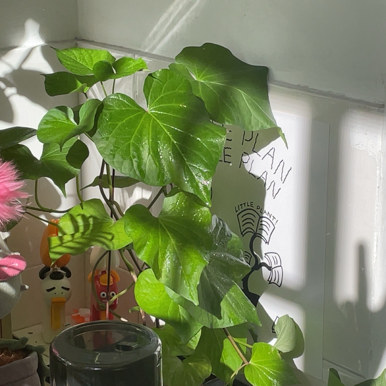 ep2. 你与自然有怎样的连结？｜我种的植物在守护我 episode artwork