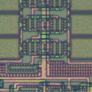 SCP-003 生物母版