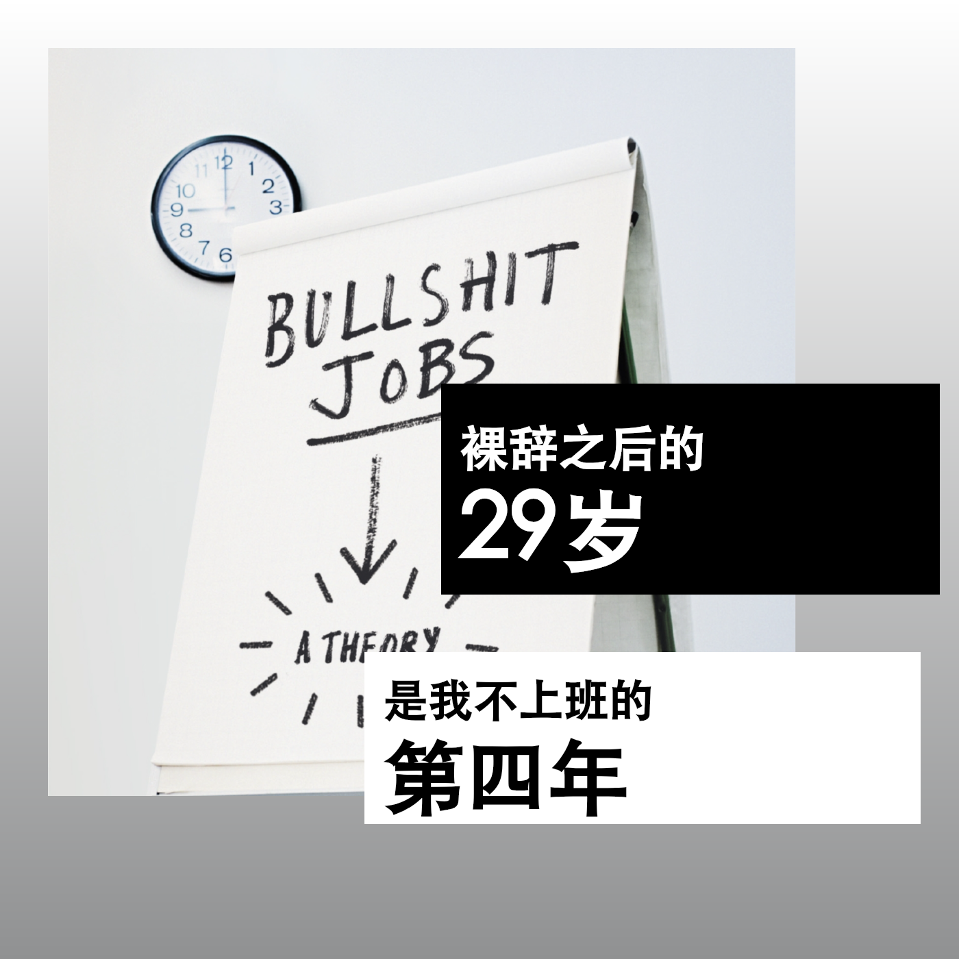 裸辞之后的29岁，是我不上班的第四年 episode artwork