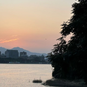 【Chat08】当我说想暴饮暴食，你说你在吃夜宵