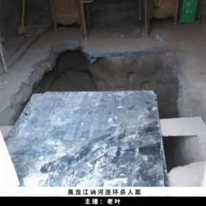 15. 黑龙江讷河连环杀人案 | 41人离奇失踪，谜底竟藏在一口地窖中
