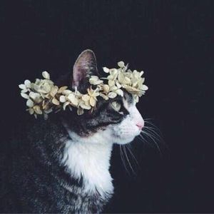 白日梦想家小杨