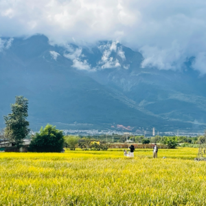 Ep12. 真正的亲密是：即使你不回应，我也愿意表达