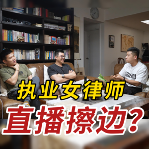 擦边和律师，是“脱下长衫”还是“性化职业”？