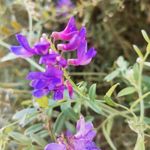 离躺平还差82万