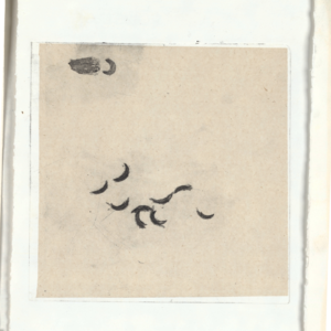 对话我的塔罗客人：见证她从晦暗走向光明的心境之旅