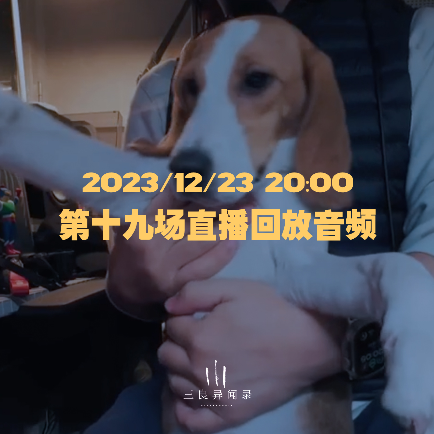 【直播回放】第十九场 番外 2023/12/23 episode artwork