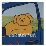 一只虎鲸