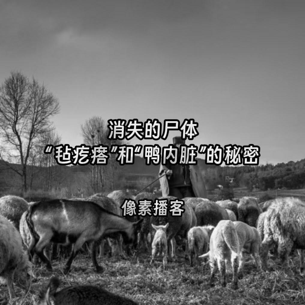 68.消失的尸体：“毡疙瘩”和“鸭内脏”的秘密 episode artwork