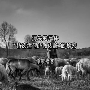 68.消失的尸体:“毡疙瘩”和“鸭内脏”的秘密
