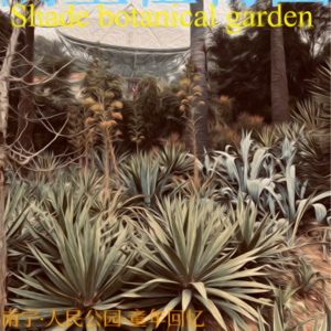 只是闲聊5:老南宁即席吟诗一首，并解读逝去的旧南宁风光