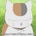 菖蒲33