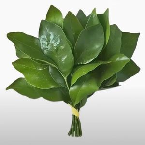 podcaster-avatar