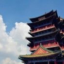 努力努力再努力117