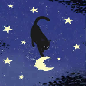 面对未来的不确定性，我们如何找到自己的安全感