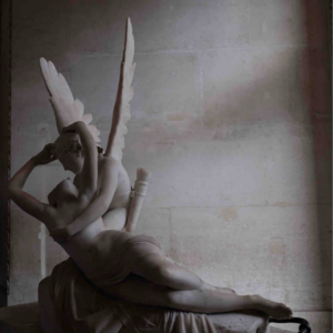 花花：我从来没有爬着走过，我哪怕是被打倒了我最多躺一会，我也要站起来跑！