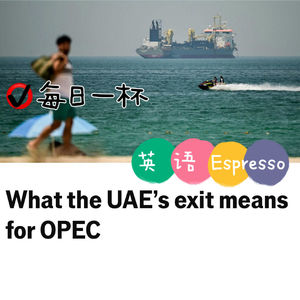 【356】阿联酋退出OPEC影响几何？