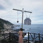 未来富婆mo