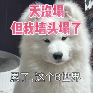 Vol.7 书接上回，继续吃瓜