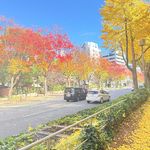 开开的刻意练习