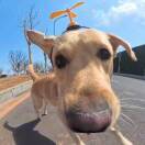 骄傲的倔强_ynJy