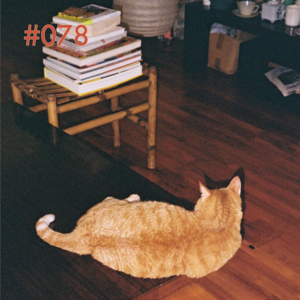 vol.78 “虽说是聊猫,但聊的是自己的人生啊”