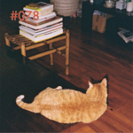 vol.78 “虽说是聊猫，但聊的是自己的人生啊”
