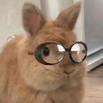 我心犹同