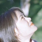 猫的山茶花