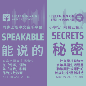 在他乡漂流,与自我和解 (文灏 x 含悦):社会学视角结合多年异国生活经历,聊聊显性或隐性的「种族歧视/区别对待」。
