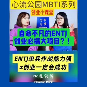 E23 MBTI创业小课堂之自命不凡的ENTJ“指挥官”,创业必搞大项目,不可踩的坑是?