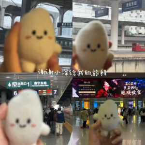 46(上)周深演唱会续集:追星女的爱,怎么不算这世界最伟大的爱呢?