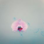 好沒邊界