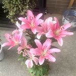 4月天_132