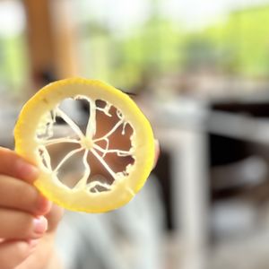 五月生活家