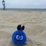 我沈沈了