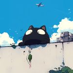 一只翻身的猫