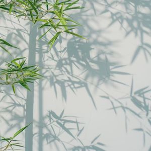 莫泊桑《一生》2