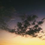 INRui_