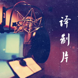 《BroTalk》EP27【译制片】聊聊殿堂级的好声音