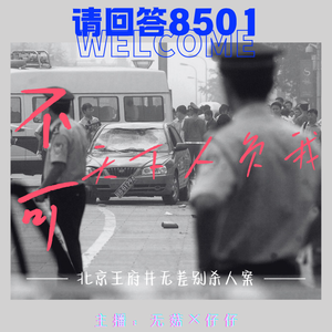 18·不可天下人负我｜北京王府井无差别杀人案