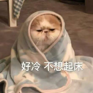 Vol 8 立冬准备！幸福浓度超高的冬日生活碎片（上）