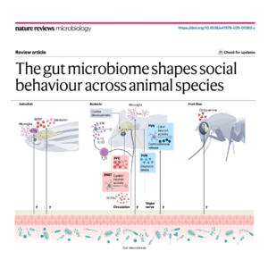 443-The Gut Microbiome and Social Behaviour