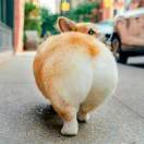 方方方便面呀